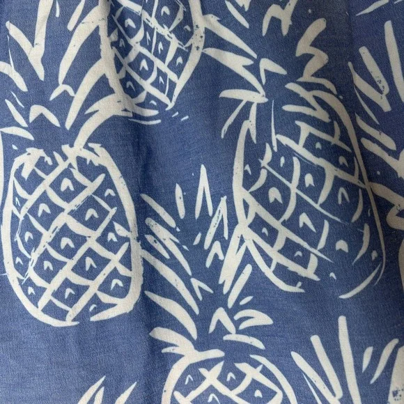 Chubbies‎ Lined Blue Pineapple Swim Trunks 7" Inseam Drawstring Pockets 2X Large - Picture 4 of 7